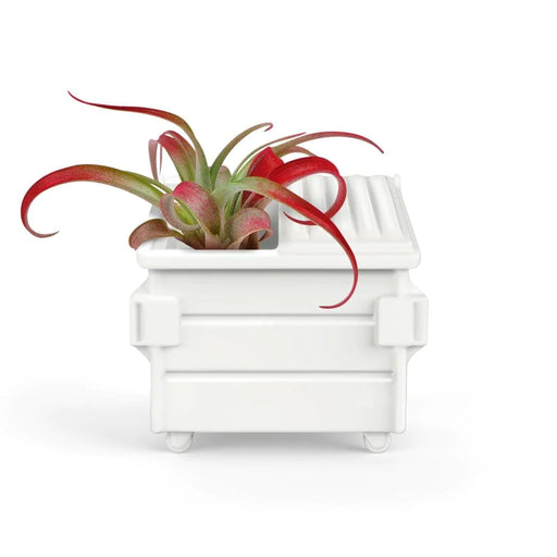 Fancy Plants Dumpster Air Plant Holder Accessory Fred