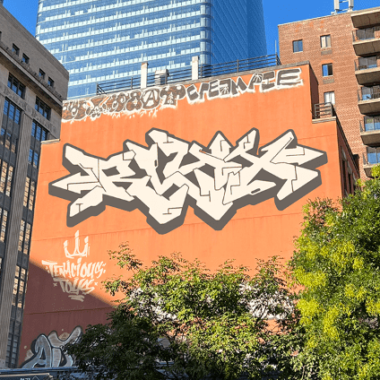 NEWSFLASH: Cyberskulls Take Over New York! - Tenacious Toys®