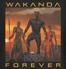 Black Panther - Tenacious Toys®