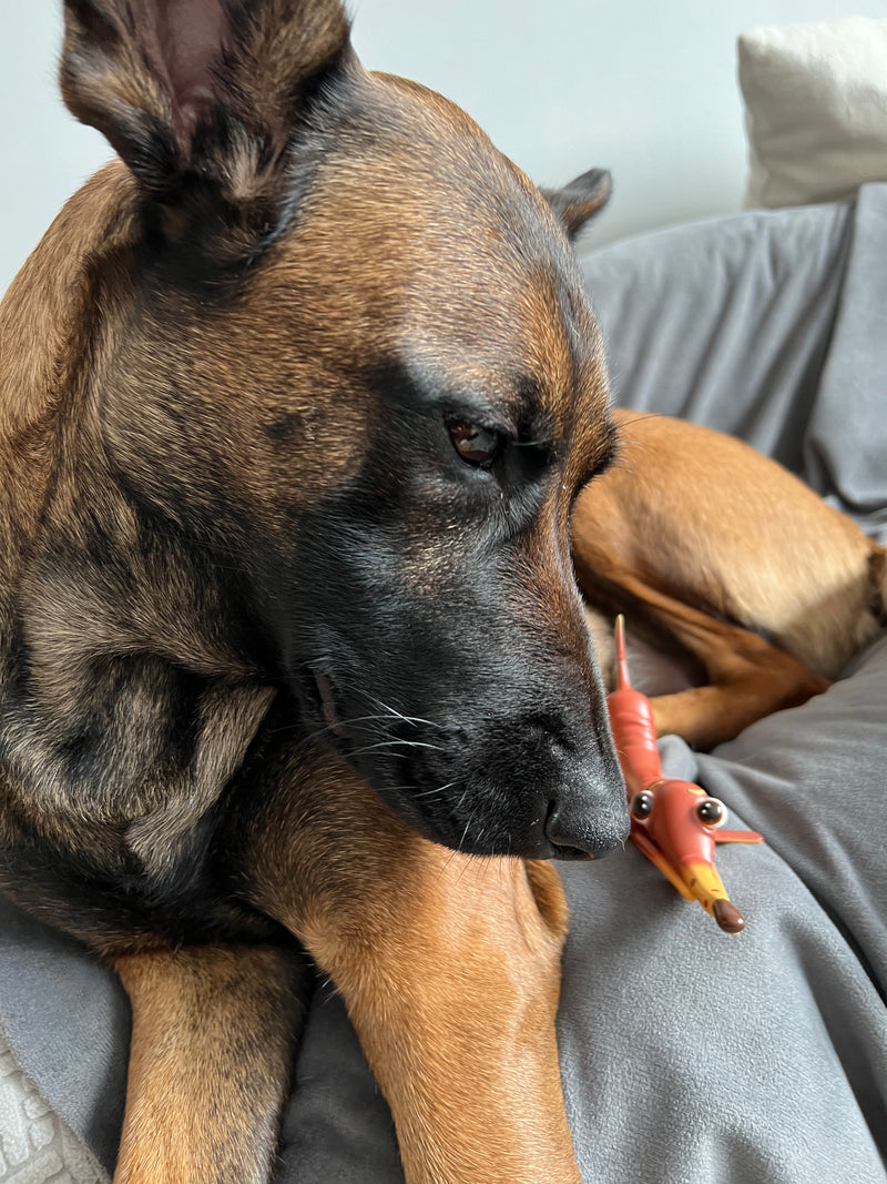 Faulty Dogs Playing Dog Resin Tenacious Toys