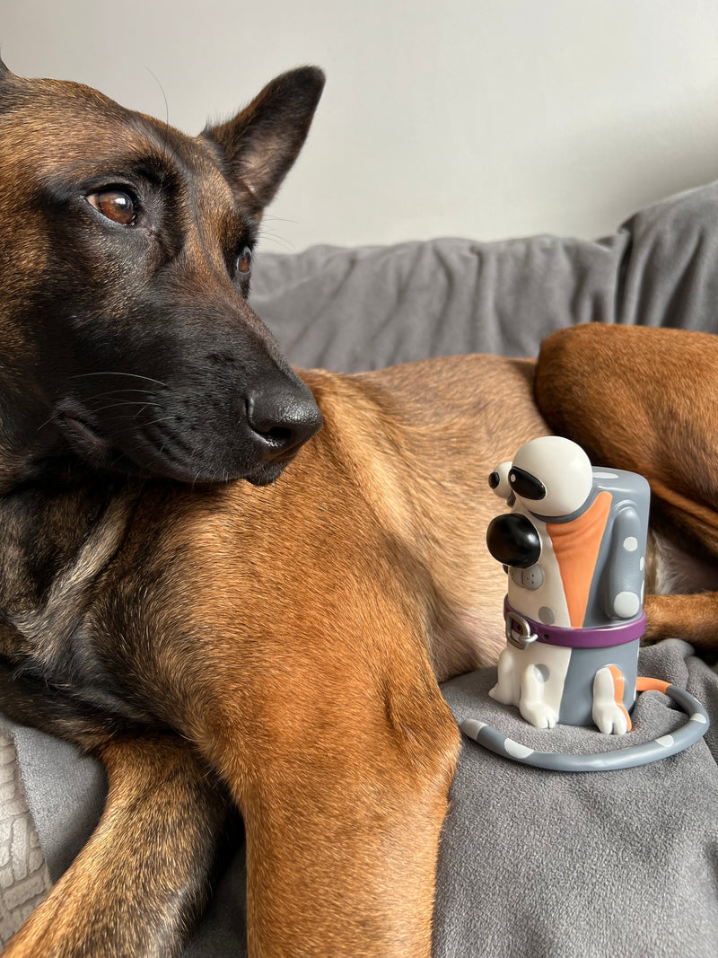 Faulty Dogs Trash Can Dog Resin Tenacious Toys