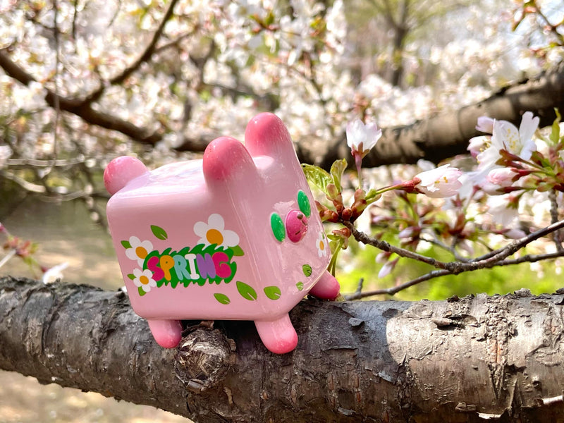 Box Bear - Sakura Spring Ver. by Rato Kim Designer Toys Strangecat Toys