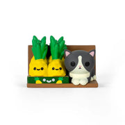 Bodega Kitties Mystery Box Series 2 Blind Box 100% Soft