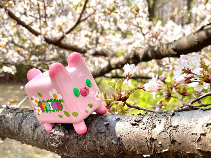Box Bear - Sakura Spring Ver. by Rato Kim Designer Toys Strangecat Toys