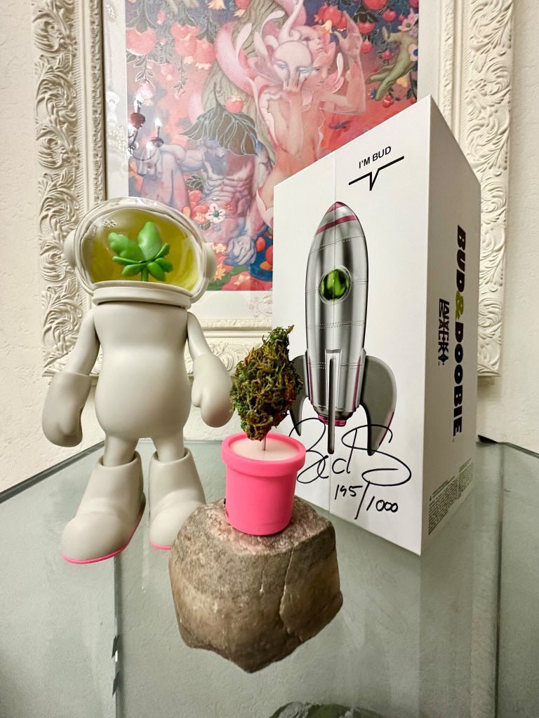 BUD figure by Wacky Backy Vinyl Art Toy Wacky Backy