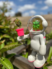 BUD figure by Wacky Backy Vinyl Art Toy Wacky Backy