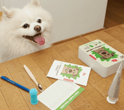 Kikkerland Dog Eco Dental Care Kit Accessory Kikkerland