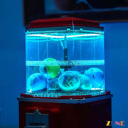 Light Kit for Minifigure Vending Machine #21358 (Multi Color) Led Light Kit for LEGO ZENE20 ZENE