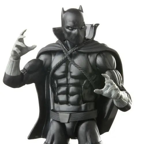 Marvel Legends Wakanda Forever Black Panther 6-Inch Action Figure Action & Toy Figures ToyShnip