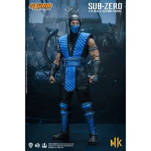 Mortal Kombat Sub-Zero 1:6 Scale Action Figure Action & Toy Figures ToyShnip