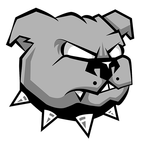 Pitbull Package Protection Navidium