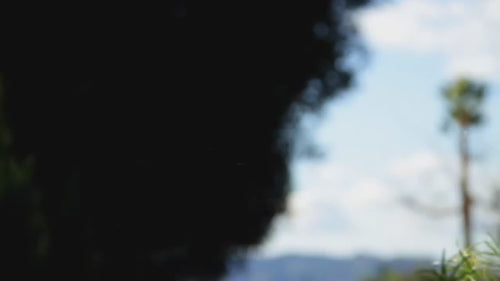 Kikkerland Solar Powered Double RAINBOWMAKER Accessory Kikkerland