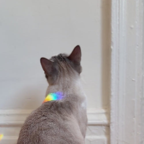 Kikkerland Solar Powered Heart RAINBOWMAKER Accessory Kikkerland