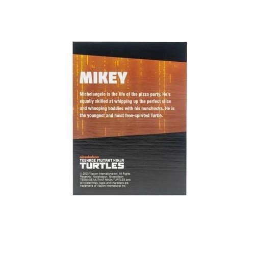 Teenage Mutant Ninja Turtles BST AXN Turtles IDW Comic Black and White 5-Inch Action Figure 4-Pack - SDCC 2023 Exclusive Toys & Games ToyShnip