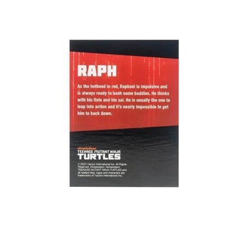 Teenage Mutant Ninja Turtles BST AXN Turtles IDW Comic Black and White 5-Inch Action Figure 4-Pack - SDCC 2023 Exclusive Toys & Games ToyShnip