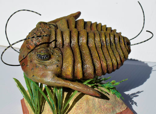 Trilly the Trilobite Prehistoric Dinosaur Painted Living Diorama Resin Figure Resin Heiden Productions