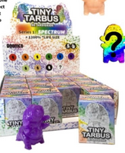 Tiny Tarbus the Tardigrade blind boxed figure Blind Box Doomco Designs